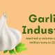 Garlic Market