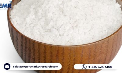 Gourmet Salts Market Analysis