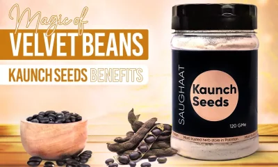 Kaunch Seeds