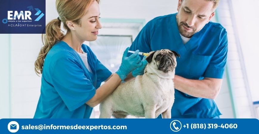 Latin America Veterinary Drugs Market