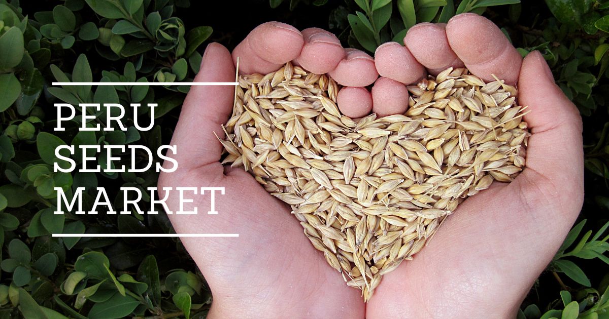 Peru Seeds Market