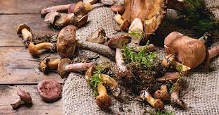 Which of the Mushrooms Are the Best for Men as Superfoods