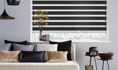 zebra blinds for window
