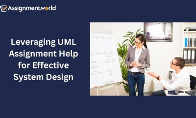 Best UML Assignment Help