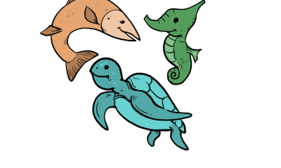 How to draw a sea animals