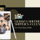 german shepherd accessories for dog