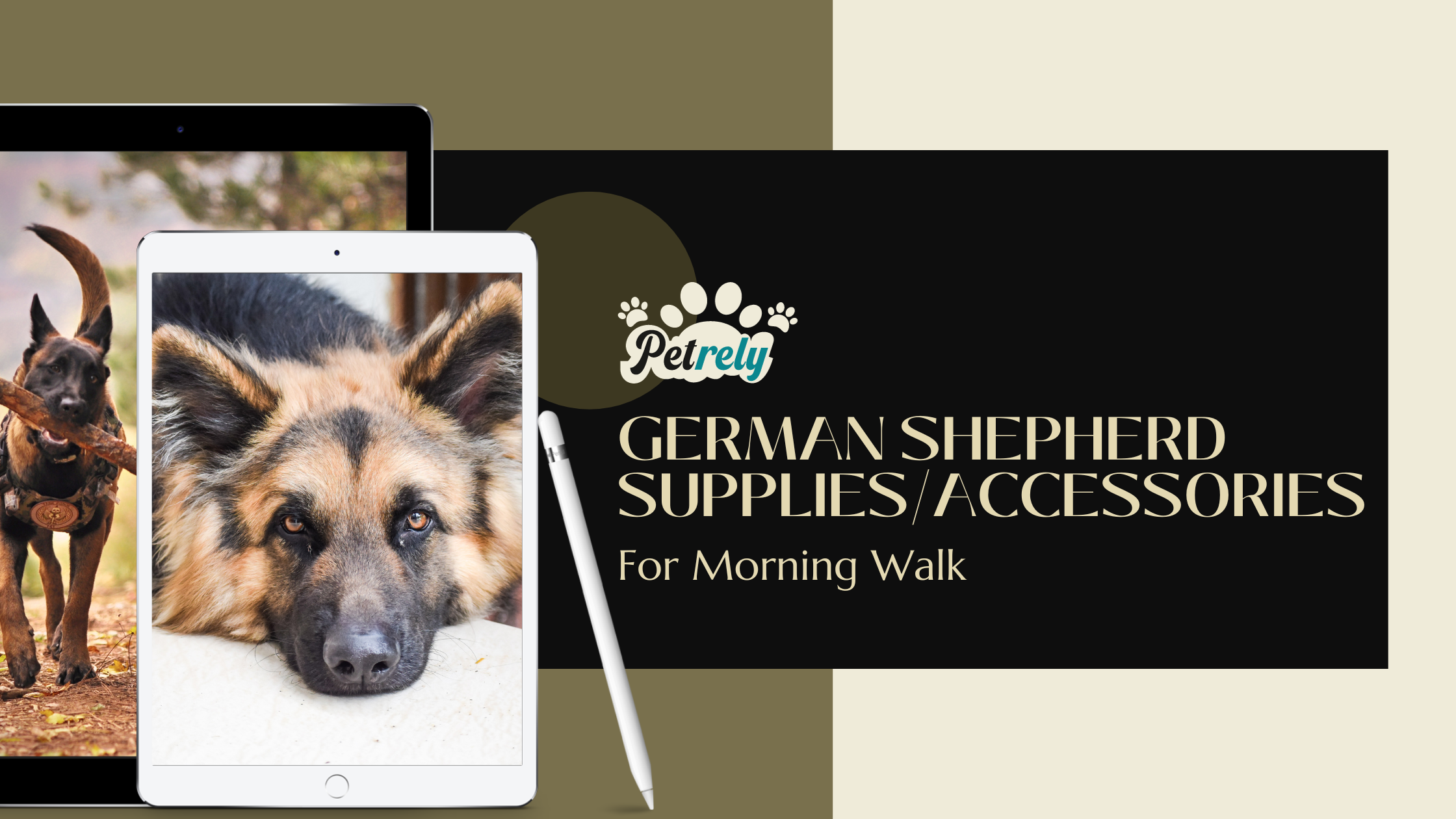 german shepherd accessories for dog