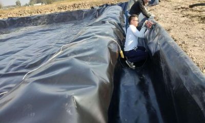 HDPE Sheets