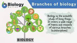 divisions of biology
