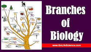 Branches of biology