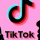TikTok Private Account Viewer