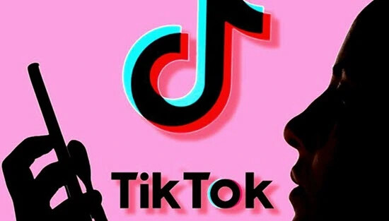 TikTok Private Account Viewer